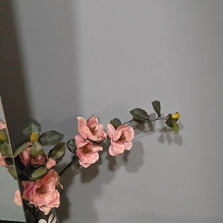 스코페 Budget-Friendly Retreat 아파트 외부 사진
